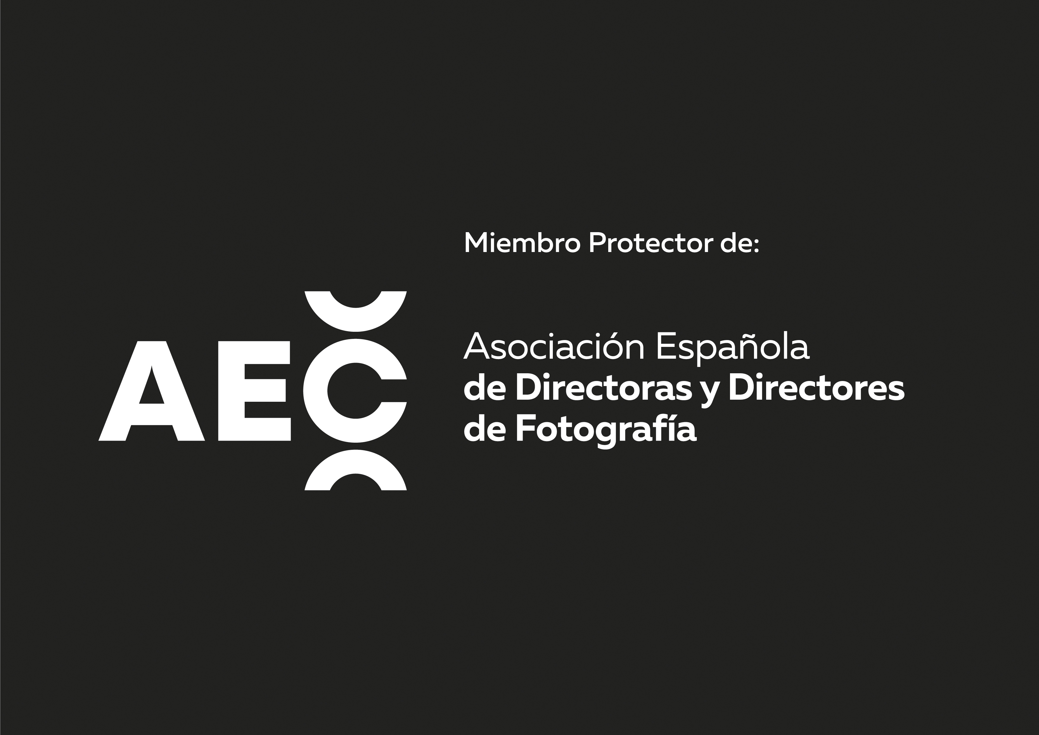 Logo AEC